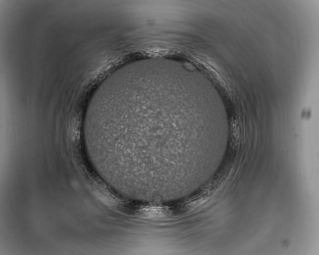X0000100350499200806130955