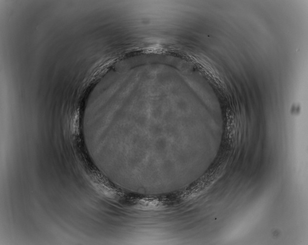 X0000100350502200806130955