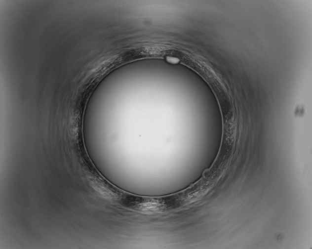 X0000100350505200806130955