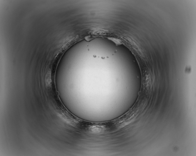 X0000100350508200806130955