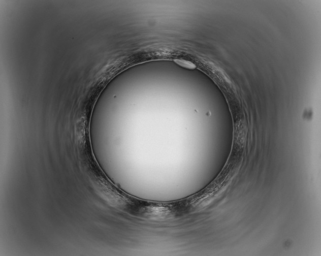 X0000100350509200806130955