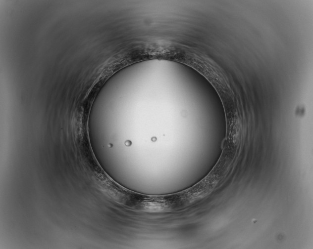 X0000100350510200806130955