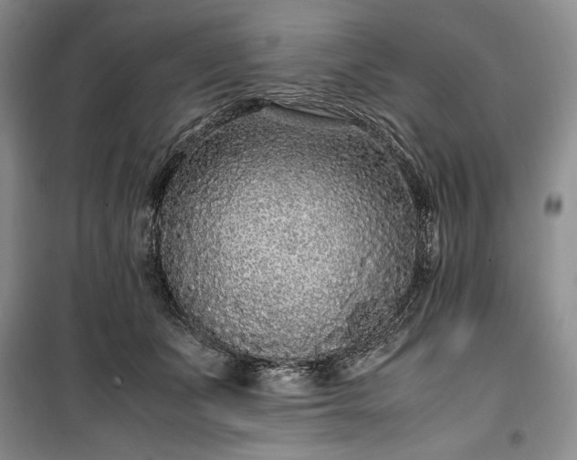 X0000100350511200806130955