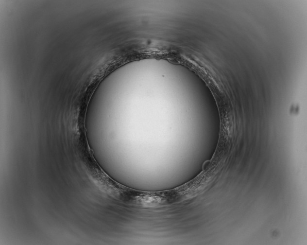 X0000100350512200806130955