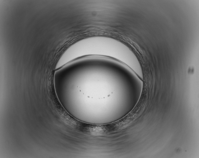 X0000100350513200806130955