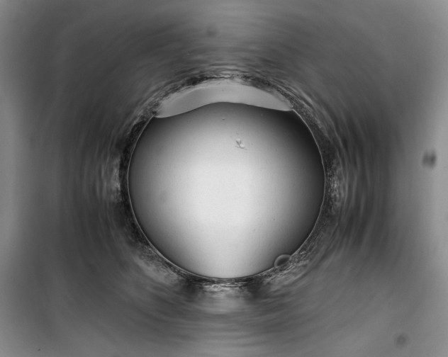 X0000100350516200806130955
