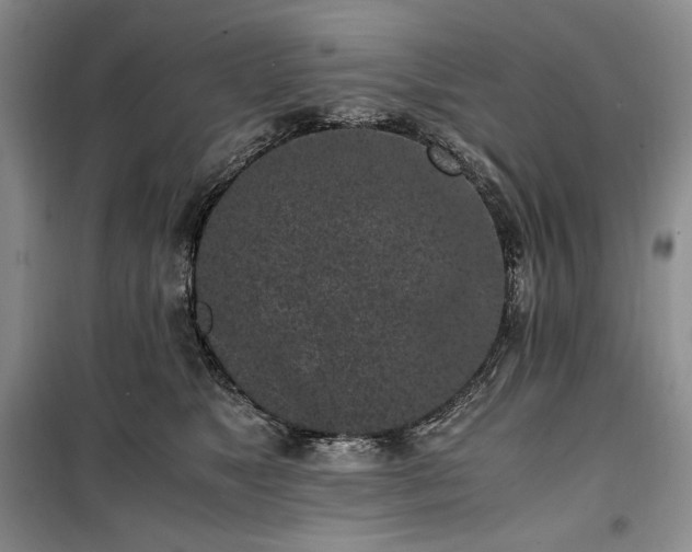 X0000100350517200806130955