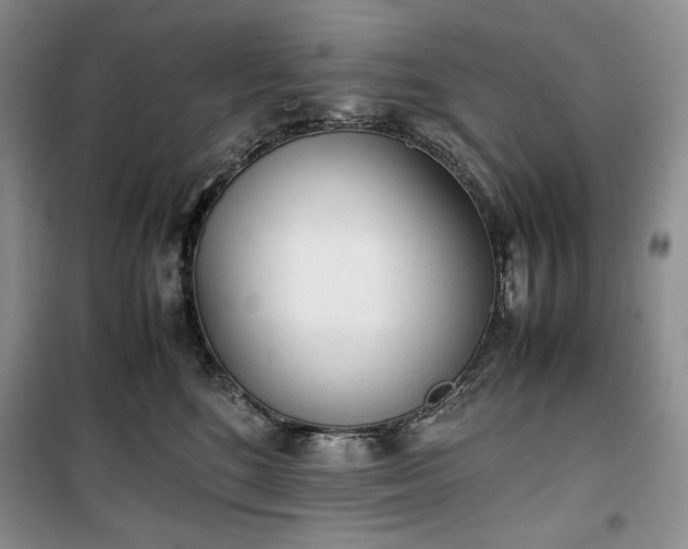 X0000100350520200806130955