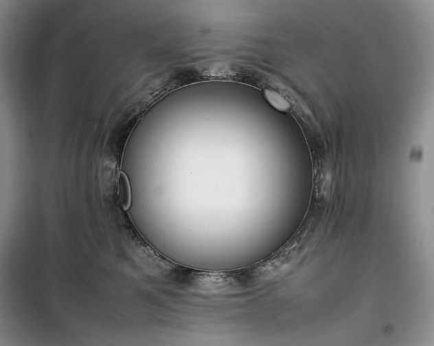 X0000100350521200806130955
