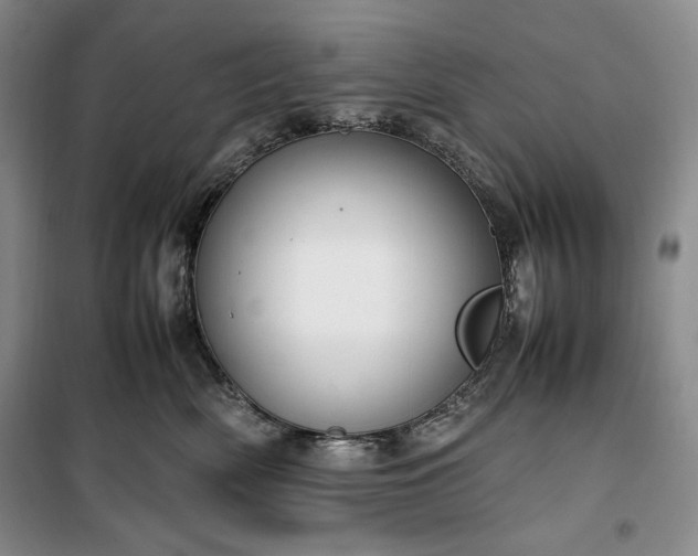 X0000100350522200806130955