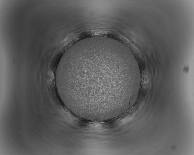 X0000100350523200806130955