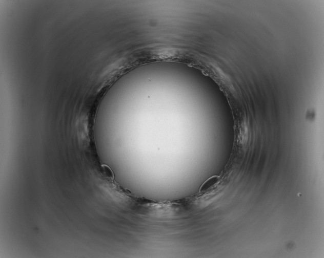 X0000100350524200806130955
