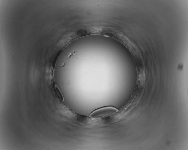 X0000100350525200806130955