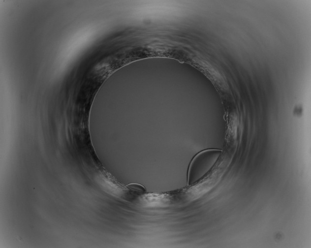 X0000100350526200806130955