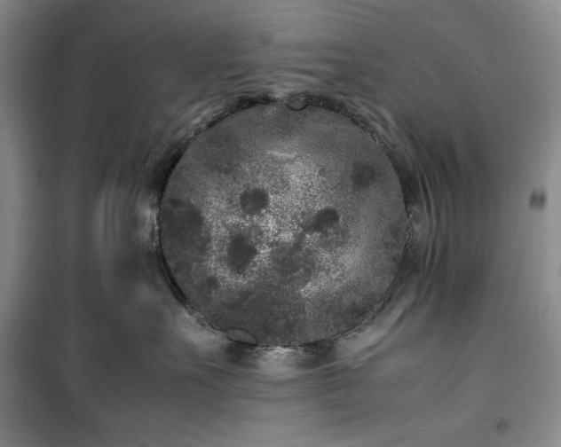 X0000100350527200806130955