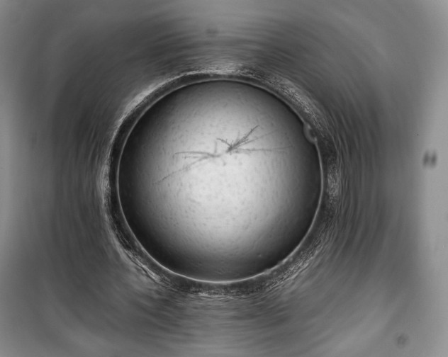 X0000100350532200806130954