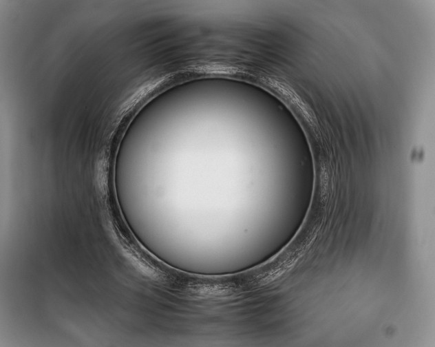 X0000100350533200806130954