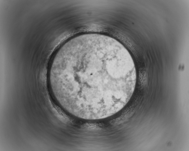 X0000100350534200806130954