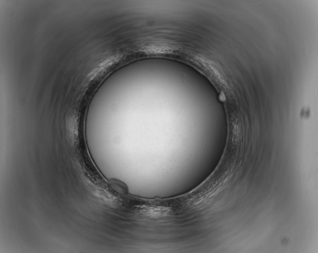 X0000100350539200806130954
