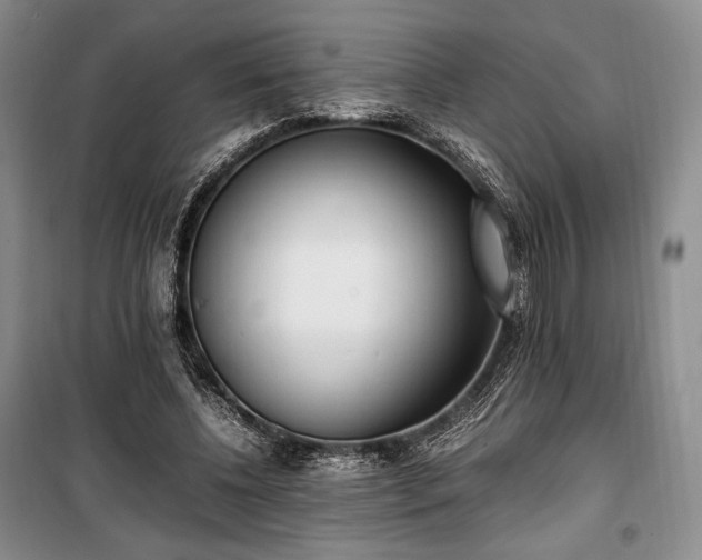 X0000100350540200806130954
