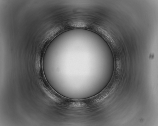 X0000100350541200806130954