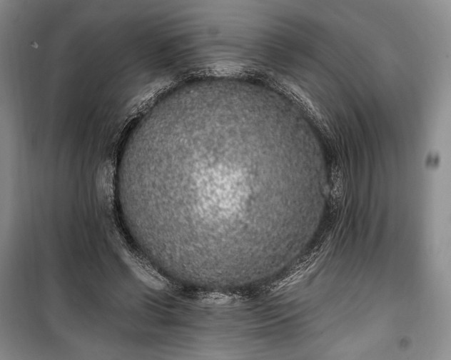 X0000100350542200806130954