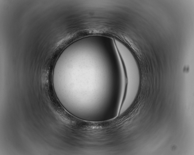 X0000100350543200806130954