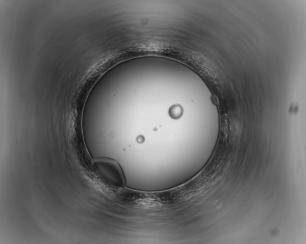 X0000100350544200806130954