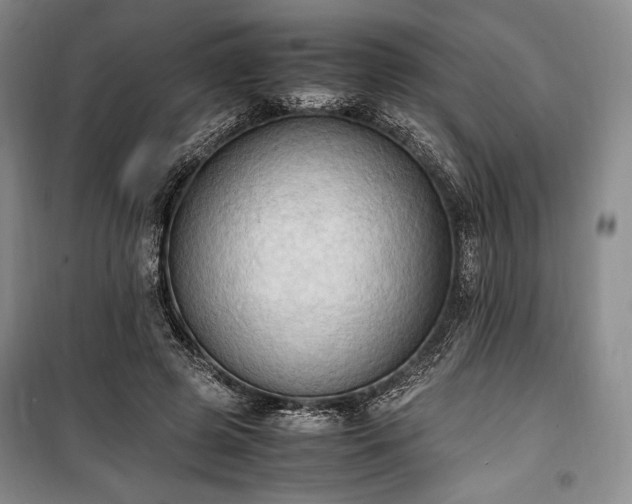 X0000100350545200806130954