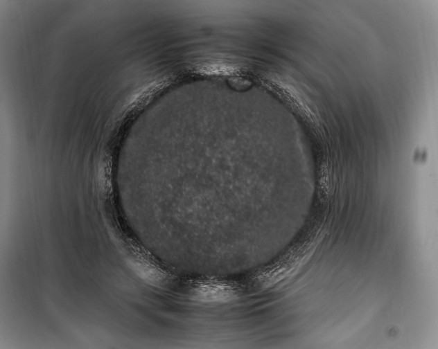 X0000100350547200806130954