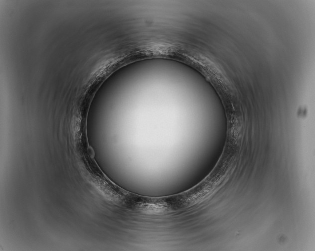 X0000100350548200806130954