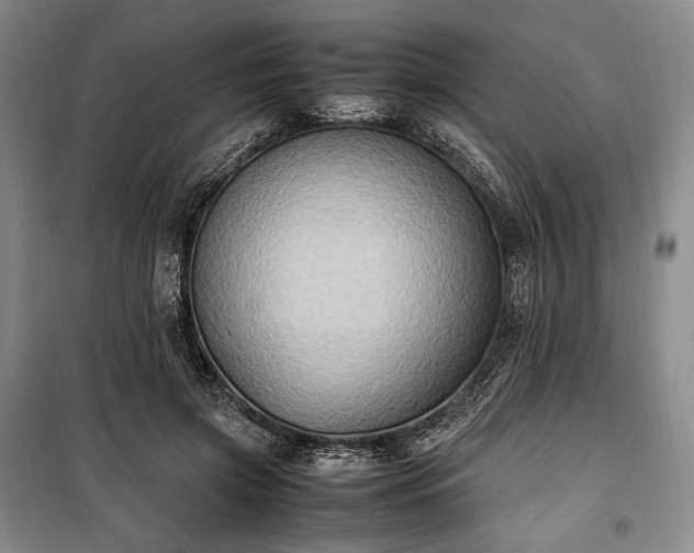 X0000100350549200806130954