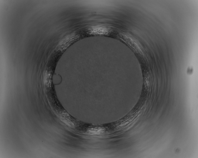 X0000100350551200806130955