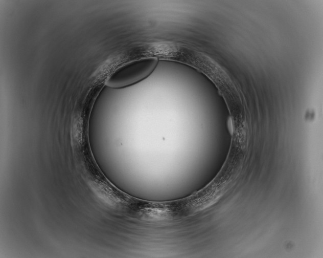 X0000100350552200806130955