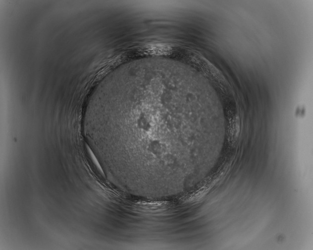 X0000100350553200806130955
