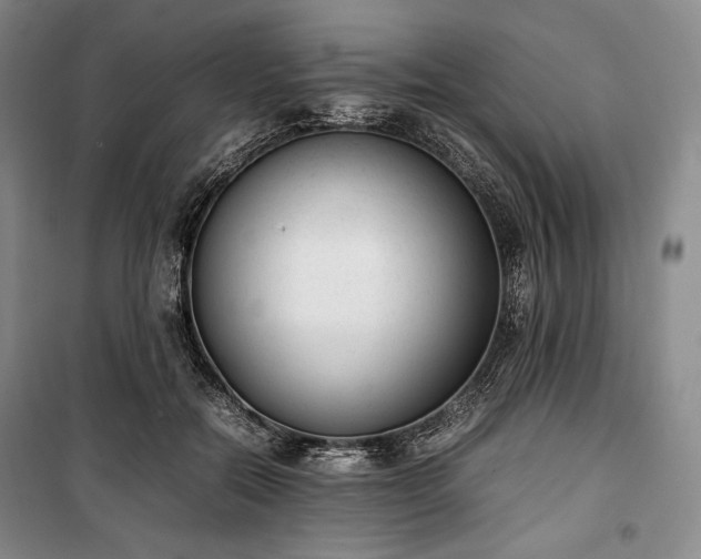 X0000100350554200806130955