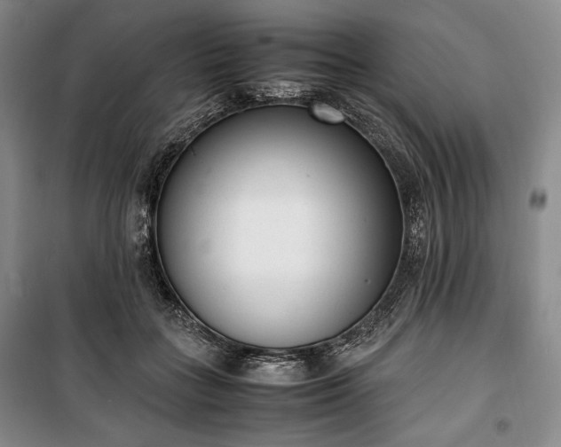 X0000100350555200806130955