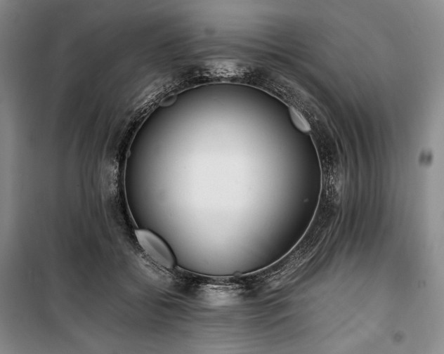 X0000100350556200806130955