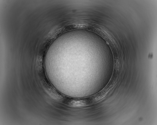 X0000100350557200806130955