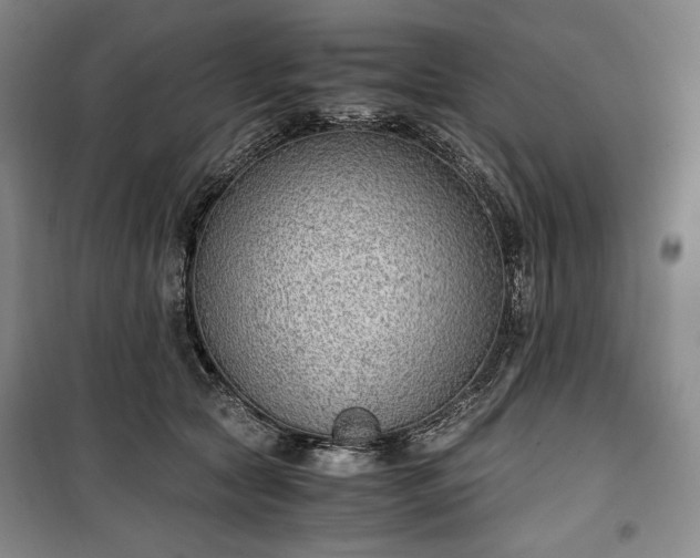 X0000100350561200806130955