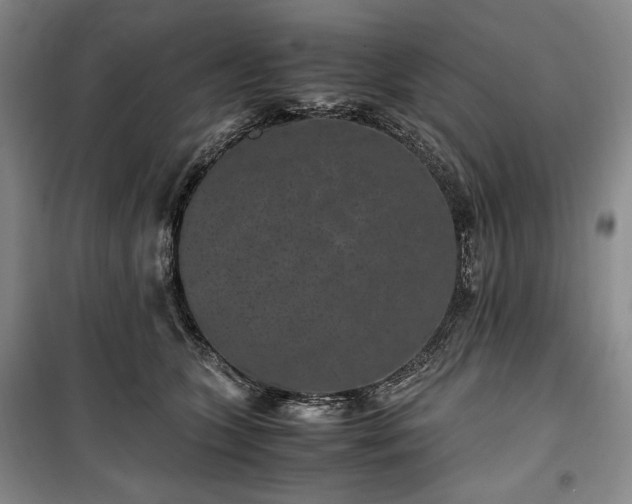 X0000100350563200806130955