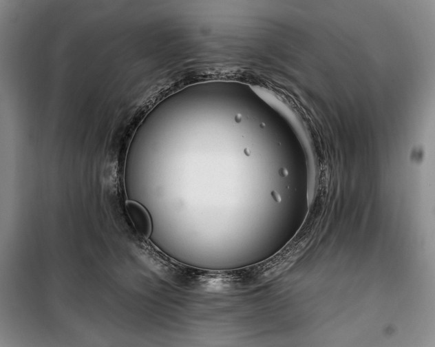 X0000100350564200806130955