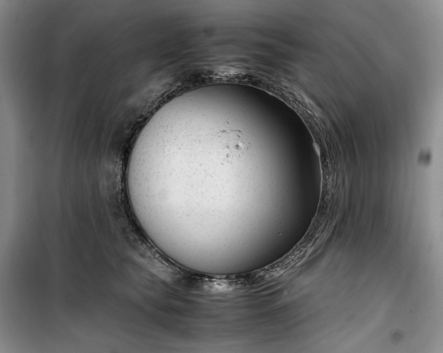 X0000100350565200806130955