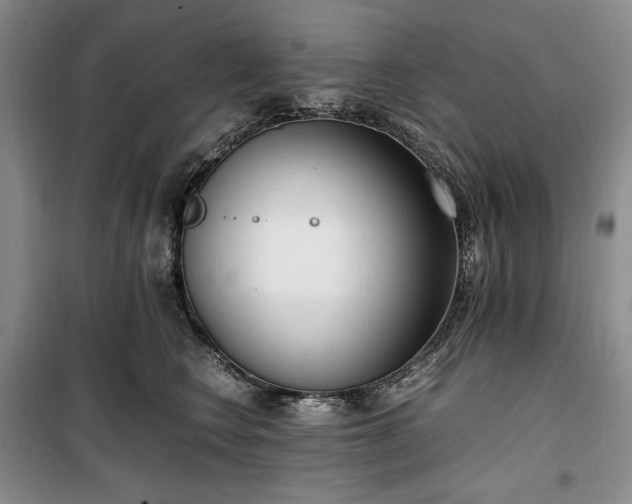 X0000100350566200806130955