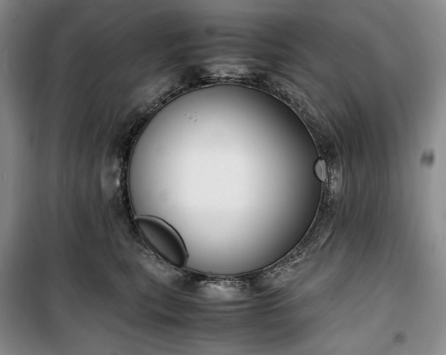 X0000100350567200806130955