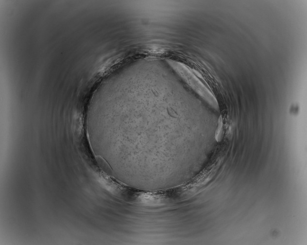 X0000100350568200806130955