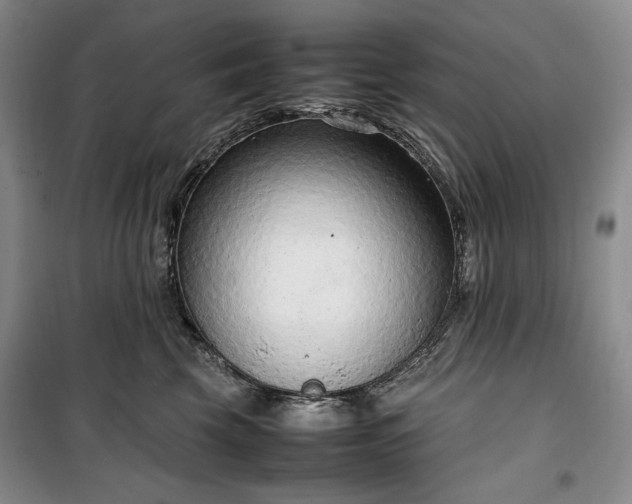 X0000100350569200806130955