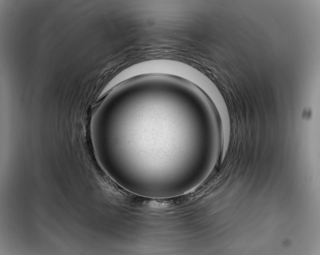 X0000100350570200806130955