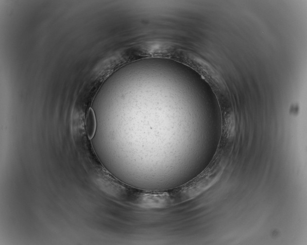 X0000100350571200806130955