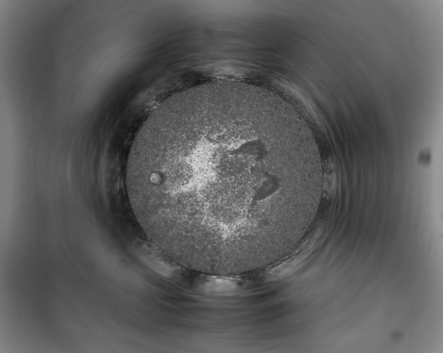 X0000100350573200806130955